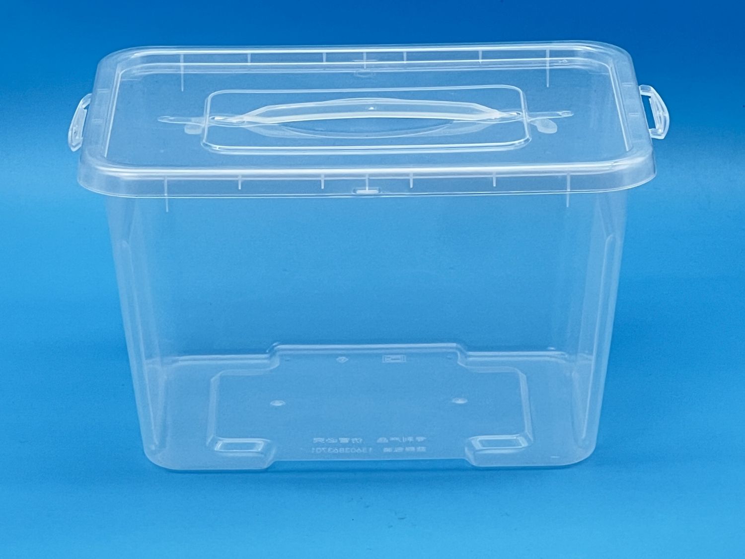 PP Plastic Lidded Storage Boxes Mold